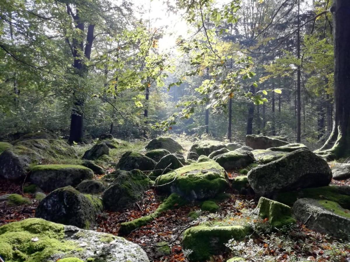 Hejnice Retreat Bagian luar foto